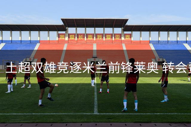 土超双雄竞逐米兰前锋莱奥 转会费心理价位曝光