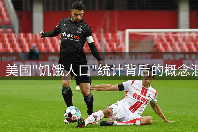 美国"饥饿人口"统计背后的概念混淆